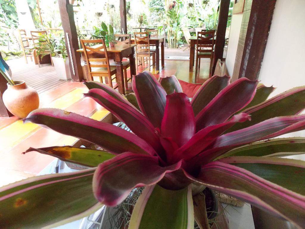 Pousada Riacho Dos Cambucas Vila do Abraao Ngoại thất bức ảnh